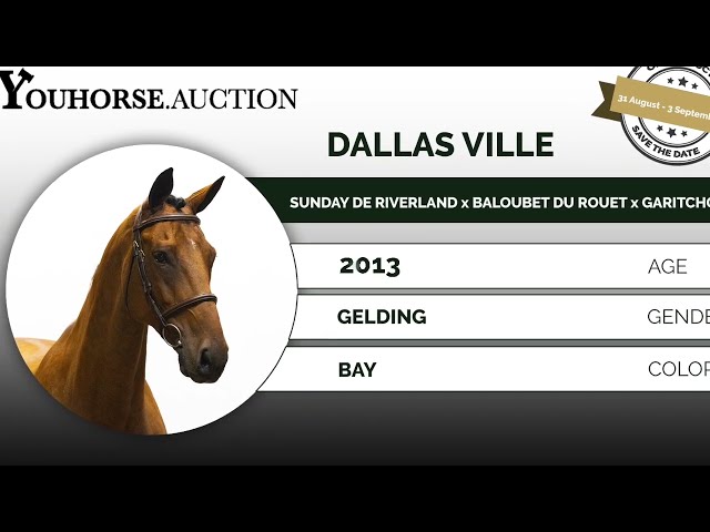 Dallas Ville showvideo