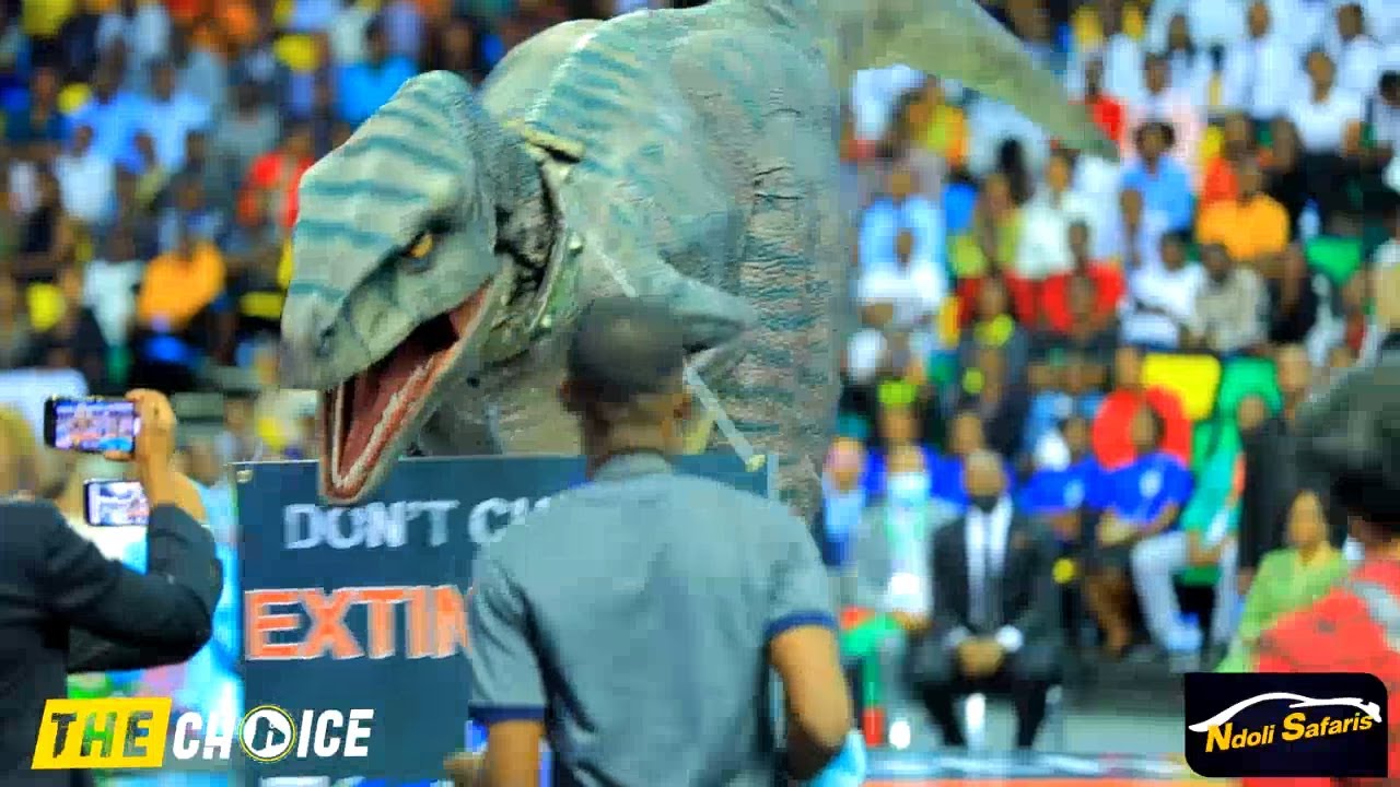 Tuyigezeho ya Dinezolo imwe rukumbi isigaye ku isi iradusekeje turumirwa