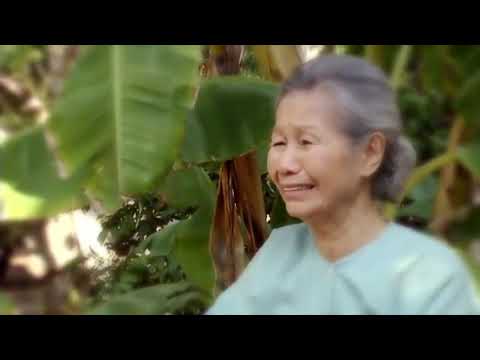 Xuân nào con sẽ về - Tường Nguyên