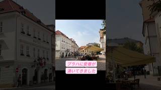 #ブダペストからプラハへ #ライアンエアー #ヨーロッパ周遊 #チェコが地元 に感じるのなぜ