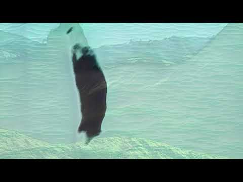 To Ricciardi & Dope PT- Aluado Video Edit