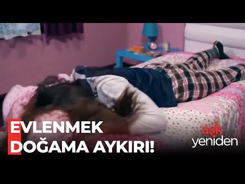Şaziment'in Kertenkele Dansı - Aşk Yeniden