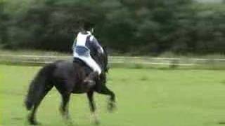 preview picture of video 'Rheidol Riding Centre Capel Bangor One Day Event July 2007'