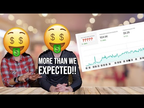 How much do small YouTubers make? Our 1 year YouTube earnings