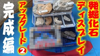 【アンモナイトセンター】化石ディスプレイのアップグレード②完成編