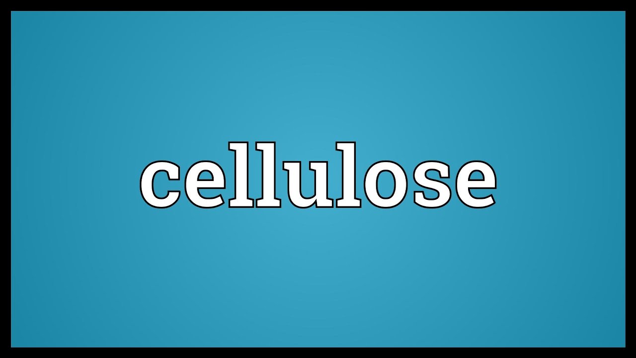 Cellulose Meaning