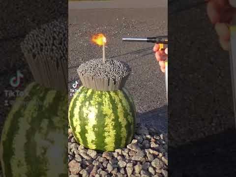 3000 firework sparkles inside a watermelon
