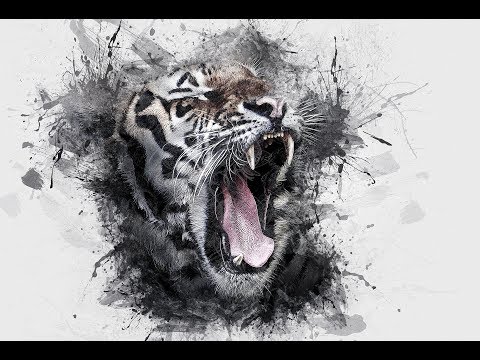 ALEX D - Pensa ci boi