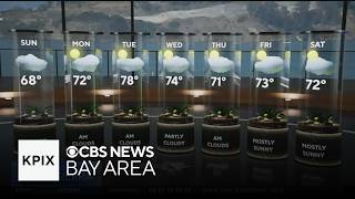 First Alert Weather Saturday evening forecast 7-18-26
