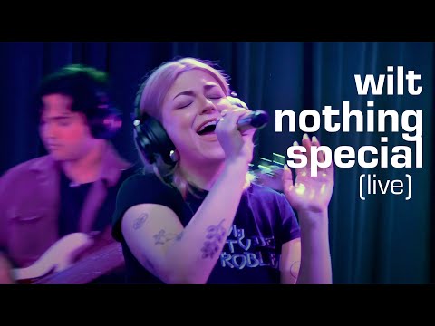 wilt - nothing special (live)