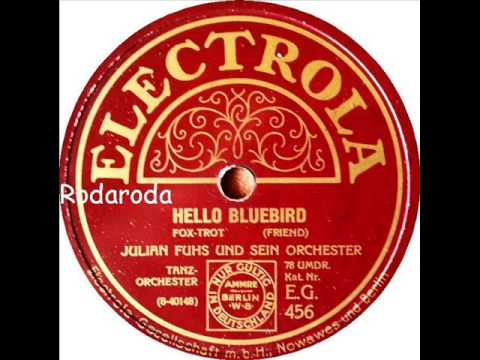 Hello Bluebird   Julian Fuhs