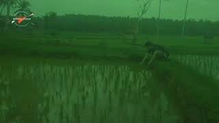 Download lagu Opick - Lir Illir mp3 Download lagu Opick - Lir Illir mp3