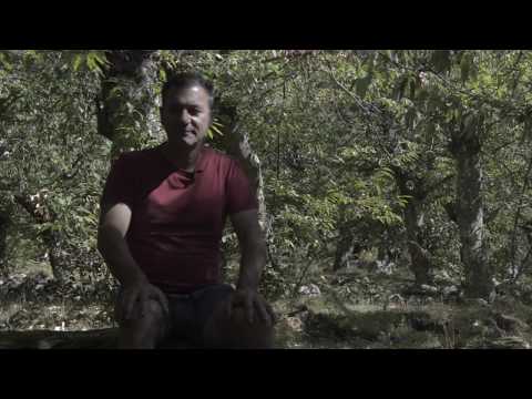 Allineamento - Marco Baston - Nagualismo