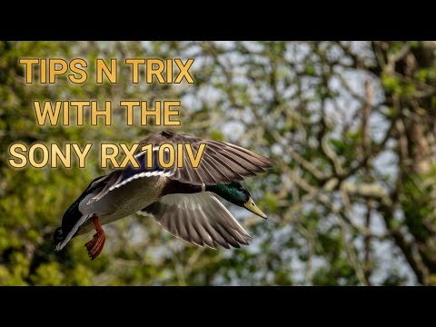 TIPS N TRIX WITH THE RX10IV