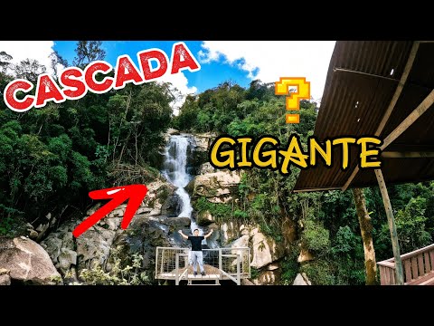 Recorriendo los senderos hacia la Gran Cascada ¿La más alta de Morona Santiago?