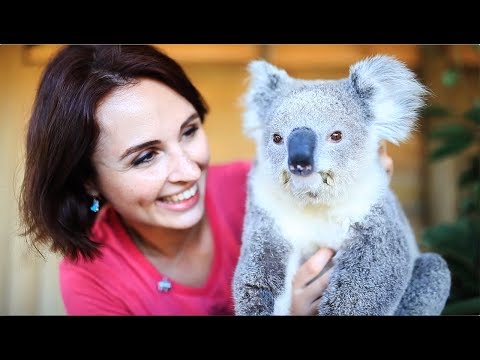 Symbio Wildlife Park