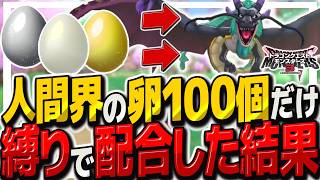 【DQM3人間界卵縛り】人間界マップの卵100個から出たモンスターだけ配合して最強パーティーを作れ！【ゆっくり実況】【ドラクエモンスターズ3 魔族の王子とエルフの旅】