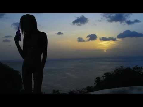 Leopard Glam Bikini by Sauvage