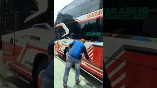 Download lagu BUS ACEH: Pesona bus aceh saat bersama pengemar di Seutui mp3 Download lagu BUS ACEH: Pesona bus aceh saat bersama pengemar di Seutui mp3