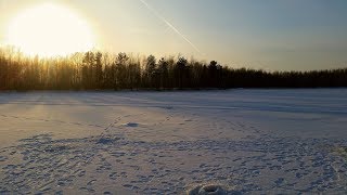 Как ловить окуня в глухозимье на волге