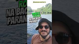 Peixes e rochas na Bacia do Paraná - Essa é Nossa Terra