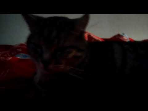 Jannis und ich im stripclub