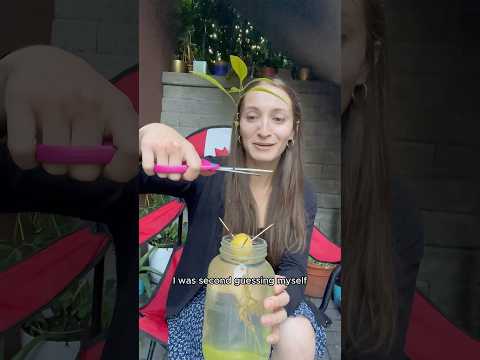 How I Turned My Home Into An Avocado Forest. PART 3