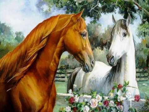 Nunca dejes de Soñar  Hay una Luz en algun lugar