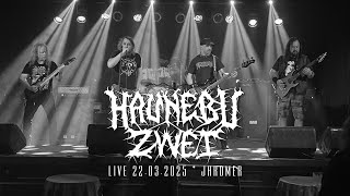 Video Haunebu Zwei (Live 22.03.2025, Jaroměř)