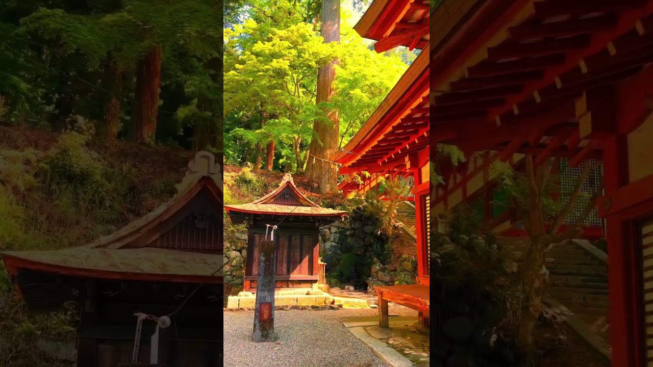 YouTube Short thumbnail