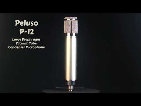 Peluso P-12 Large Diaphragm Condenser Tube Microphone image 13