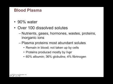 Chapter 17 Blood Part1