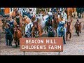 Beacon Hill Children S Farm Goats Peacocks Chickens Donkeys Ducks And More