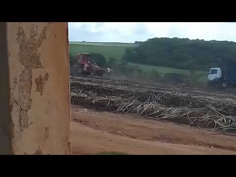 Sitio Mendonça  fazenda bandeira branca Mamanguape paraiba 12 03 2026
