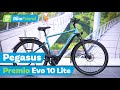 Pegasus Premio EVO 10 Lite 2024