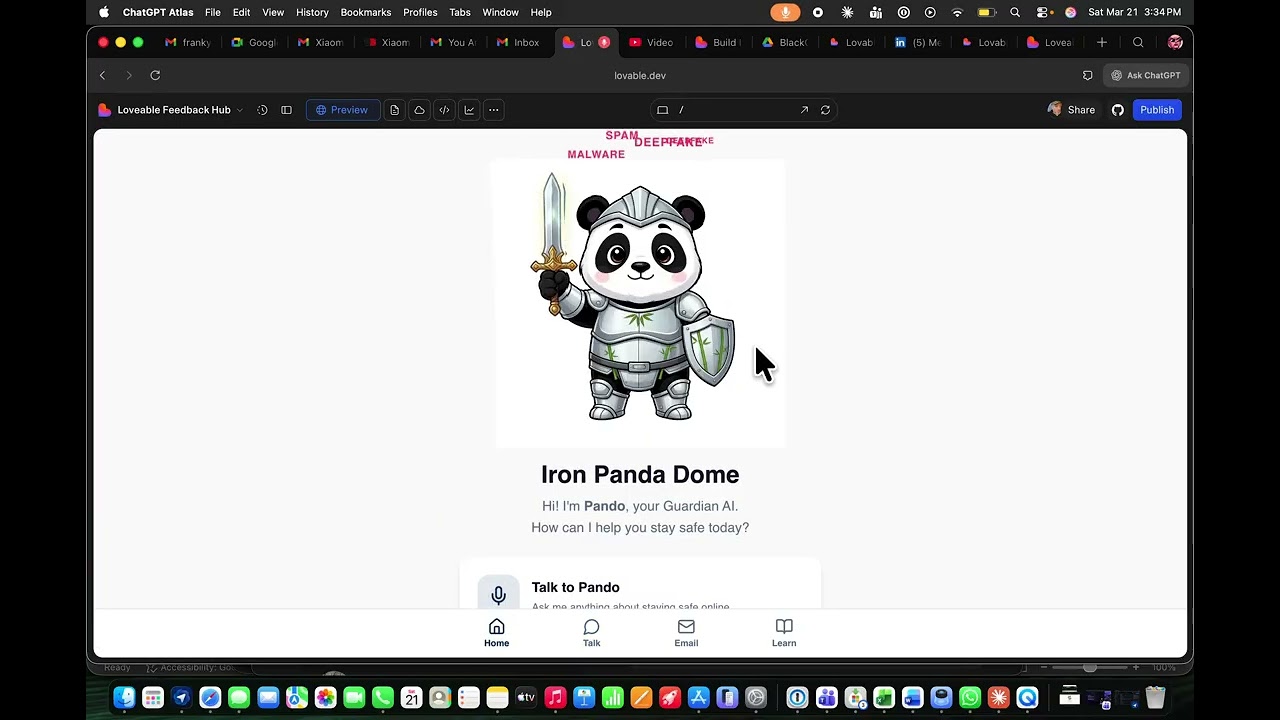 Iron Panda project preview