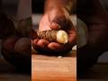 Jerusalem Artichoke Skin With Cashew Hazelnut
