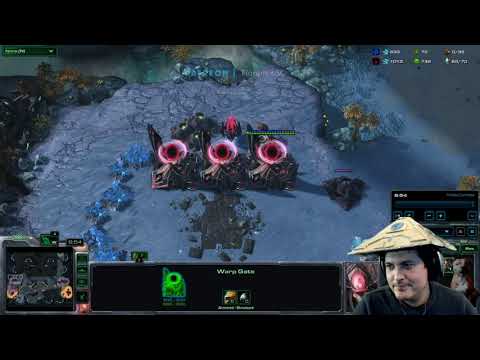 StarCraft 2 Protoss vs Zerg  All about the details