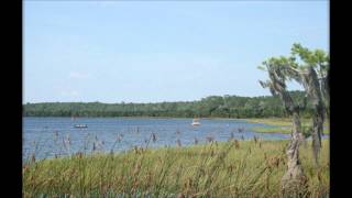 preview picture of video 'Ocean Pond - Olustee, Florida'