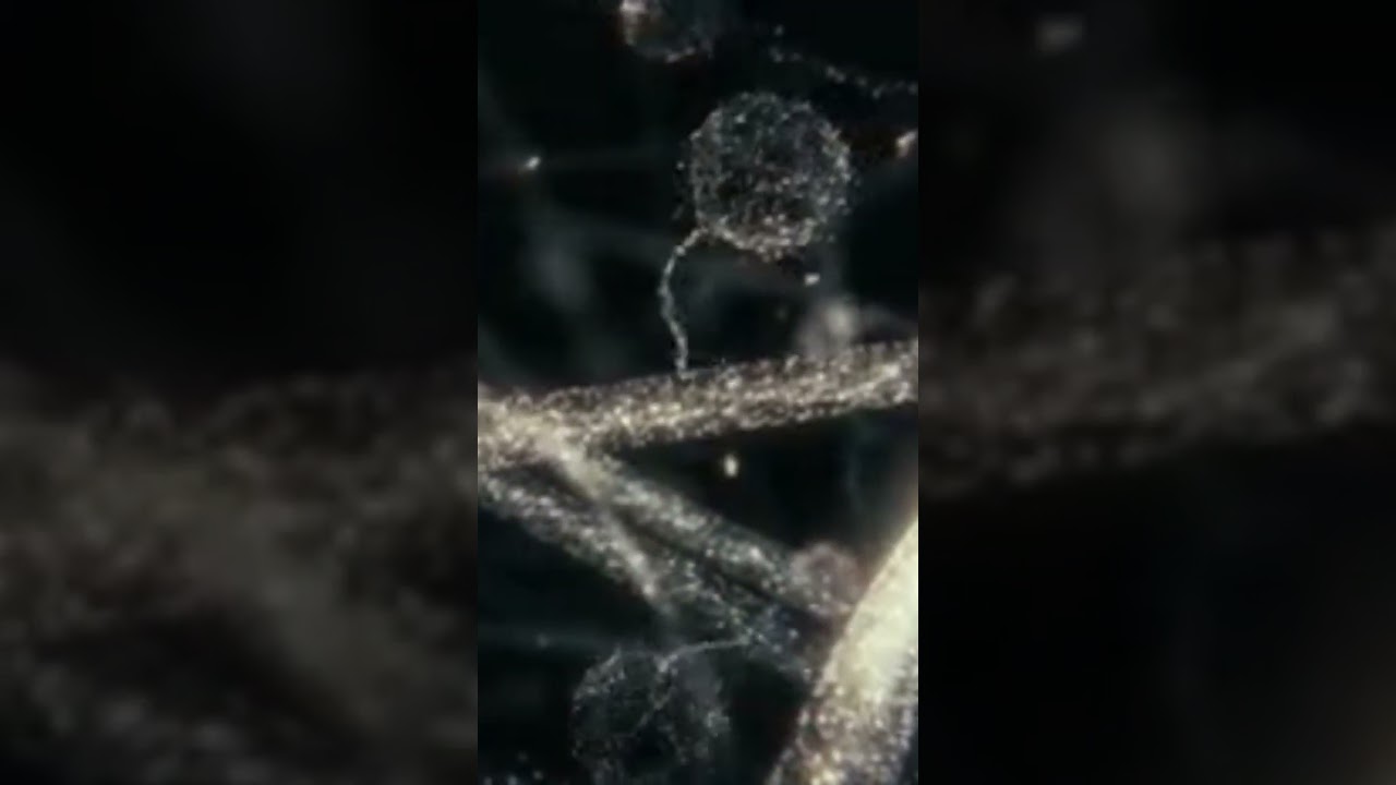 The protein molecule drags the endorphin hormone.