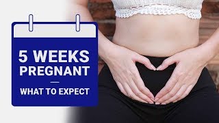 5 Week Pregnant -  What to Expect?