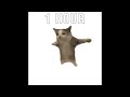 1 HOUR The Cat Dance ﾉ