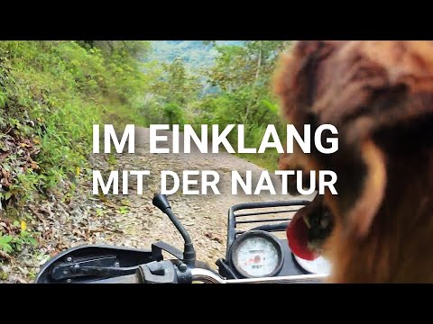 FREI LEBEN MIT DER NATUR - Nur Die Harten Kommen In' Garten