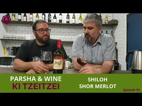 Parshat Ki Tzeitzei - Shiloh Shor Merlot | Parsha & Kosher Wine Ep. 95