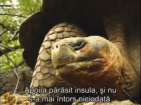 Dezlegând Misterul Vieţii ( Unlocking the Mystery of Life ) RoSub ©