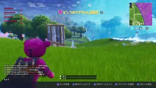 フォートナイト初心者　　No voice