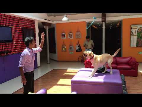 Bowie playing with students at TSM