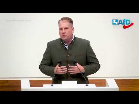 „Skandal! Grüne Präsidentin rastet bei AfD-Rede völlig aus – Unglaublich, was sie sagt!“