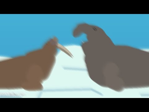 Walrus vs elephant seal