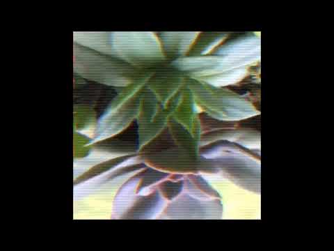 46. Deergod - credence [07.07.2019]